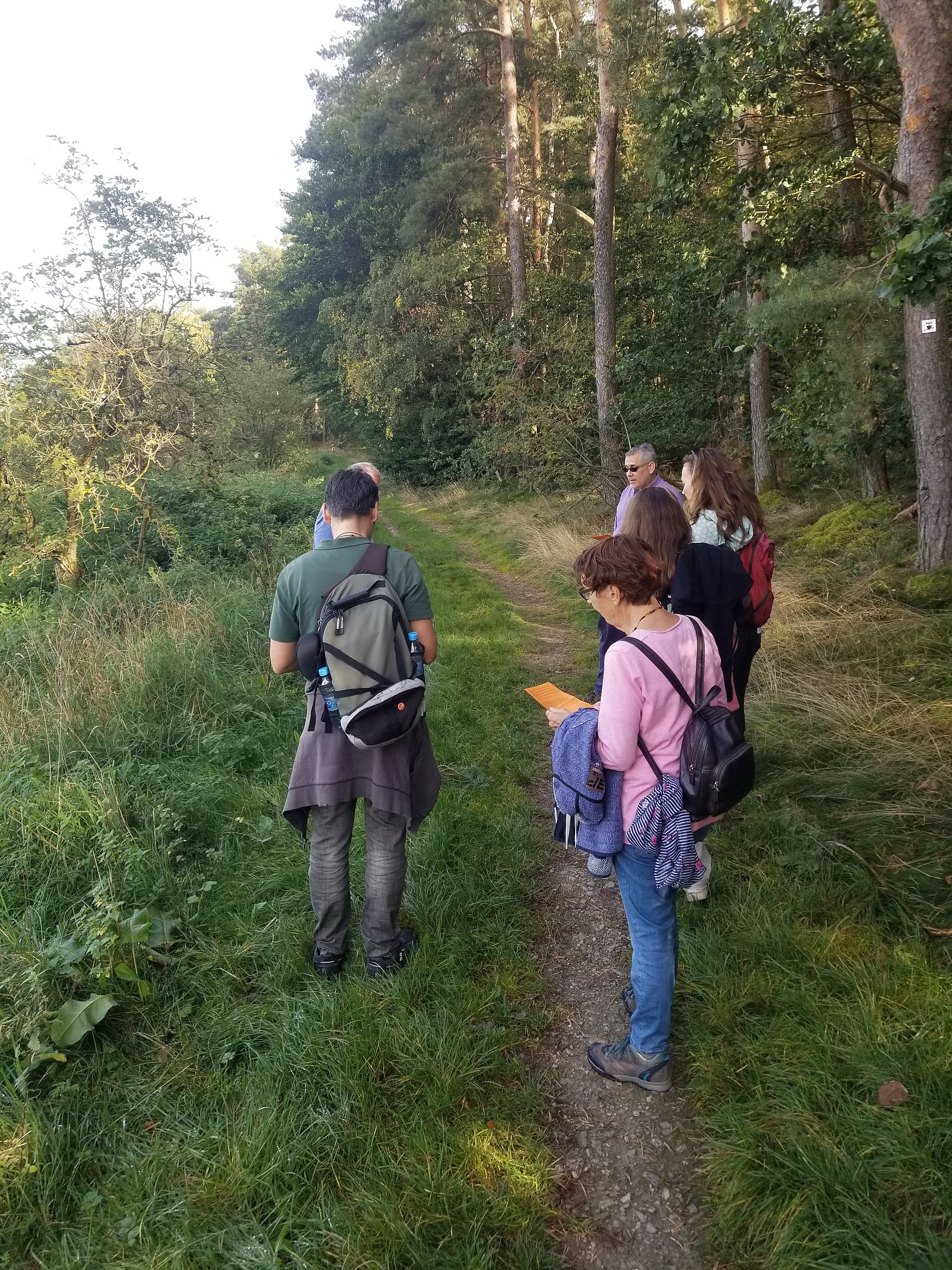 Innehalte, hören, schweigen, beten.